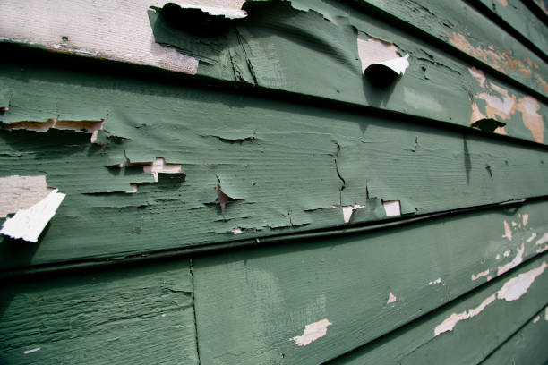 Best Custom Trim and Detailing for Siding  in Fultonde, AL