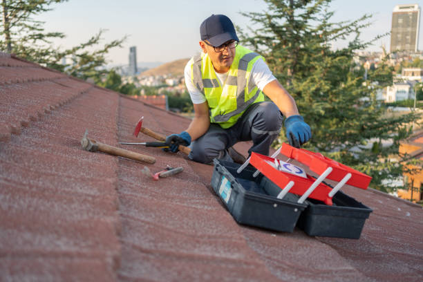 Best Siding Painting and Refinishing  in Fultonde, AL